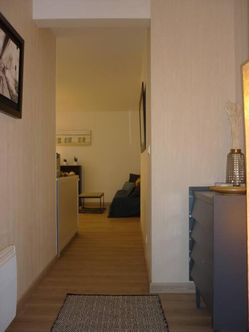 T3 De 70 M2 Idealement Situe Avec Garage Saint-Malo Buitenkant foto